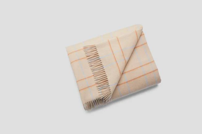Pinstripe Plaid Throw - Image 4